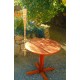 Beach Chair Torch Umbrella Clamp 